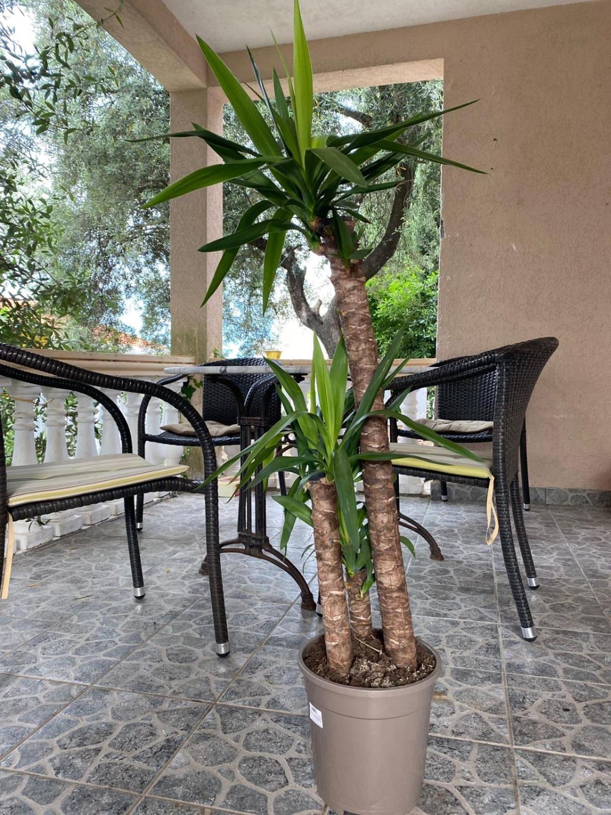 Krasići Apartments Arina מראה חיצוני תמונה