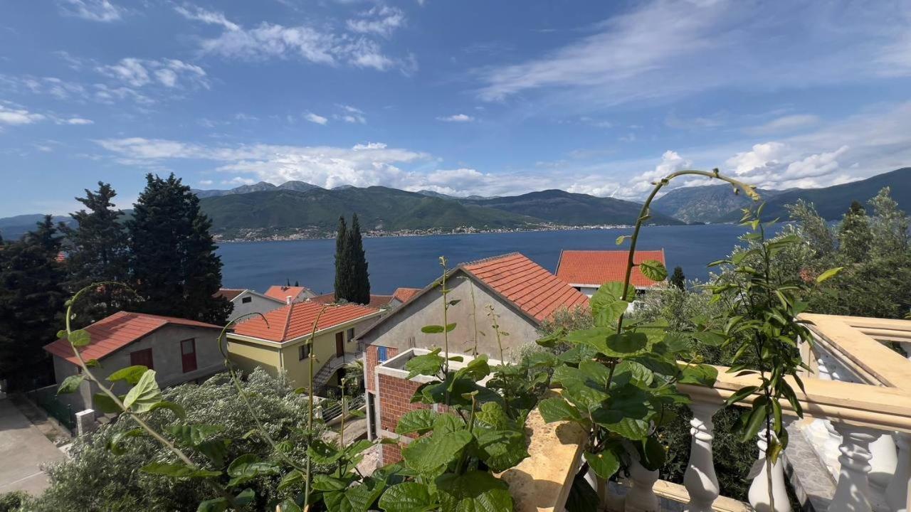 Krasići Apartments Arina מראה חיצוני תמונה